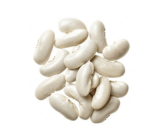 All of our White Beans production passes through pre-cleaning, grading, de-stoner, gravity and sortex machines. For extra quality, we do handpick and brush machine for ultimate customer satisfaction. White Beans are highly valued for their versatility and nutritional benefits. &nbsp; Season/Availability: Summer Crop/Season:  from May to October. Winter Crop/Season: from December to April. &nbsp; Varieties: Summer - Winter. HS Code: 0713330 Calibration: 180/100 grams – 190/100 grams – 200/100 grams – 210/100 grams. Packaging: 10 kg / 25 kg & 50 Kg Mesh Bag, (Net Weight). : No Foreign Materials or Ash 0% Moisture: 5% - 10 % Max Purity: 99.99% Admixture: 0.5% Aroma: Pungent Sweet It does not contain any impurities or insect. Loading Quantity:25 MT / 20'FCL. Shelf Life: 2 years